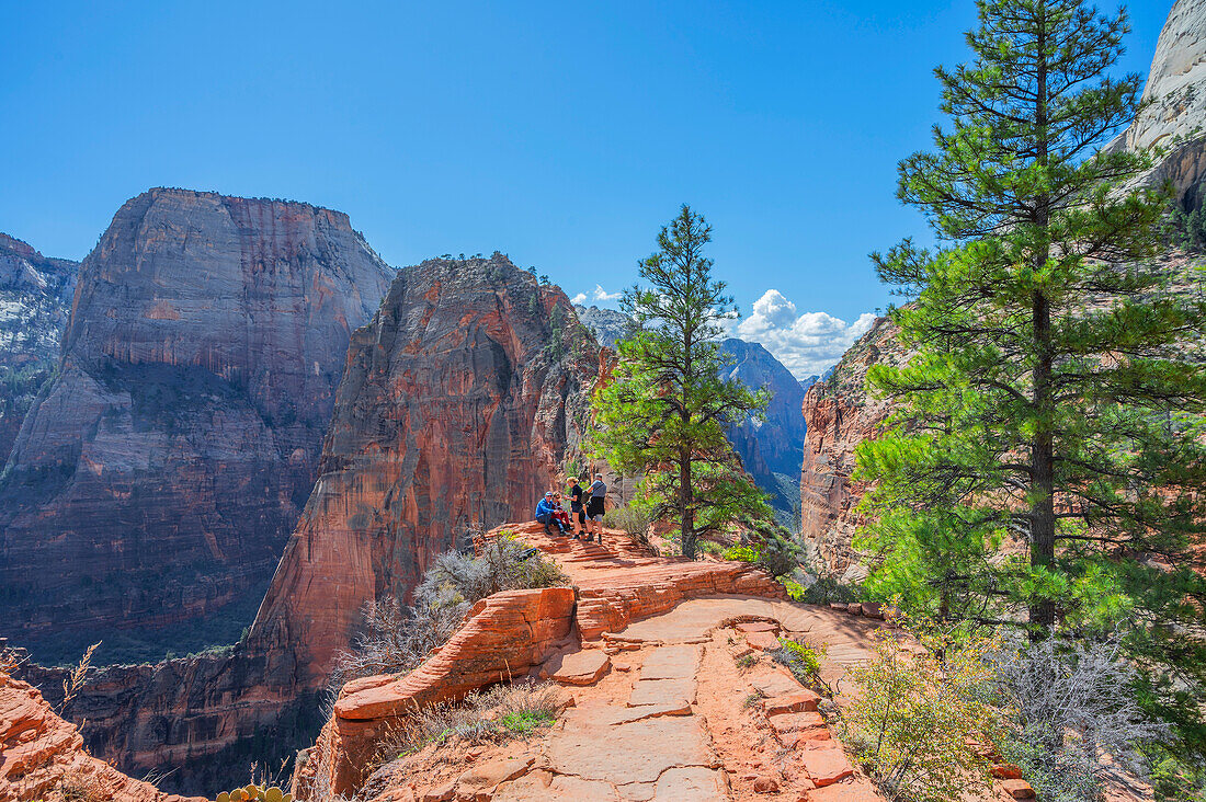 Blick auf Felsformation 'Angels landing' am Virgin River im Zion Canyon, Zion Nationalpark, Utah, USA, Vereinigte Staaten