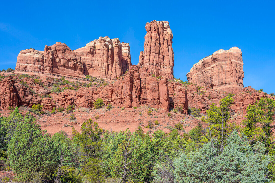 Blick auf den Cathedral Rock vom Templeton Trail, Coconino National Forest, Sedona, Arizona, USA, Vereinigte Staaten