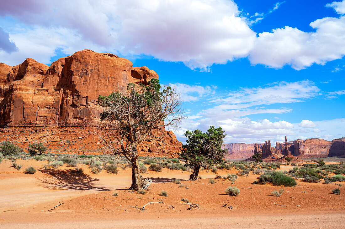  Monument Valley, Arizona/Utah, USA, United States 