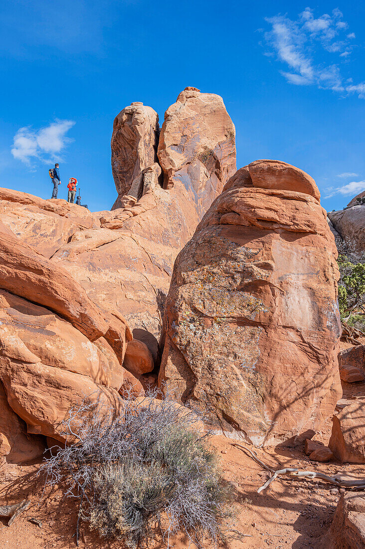  Devils Garden Trail, Arches National Park, Moab, Utah, USA, United States 