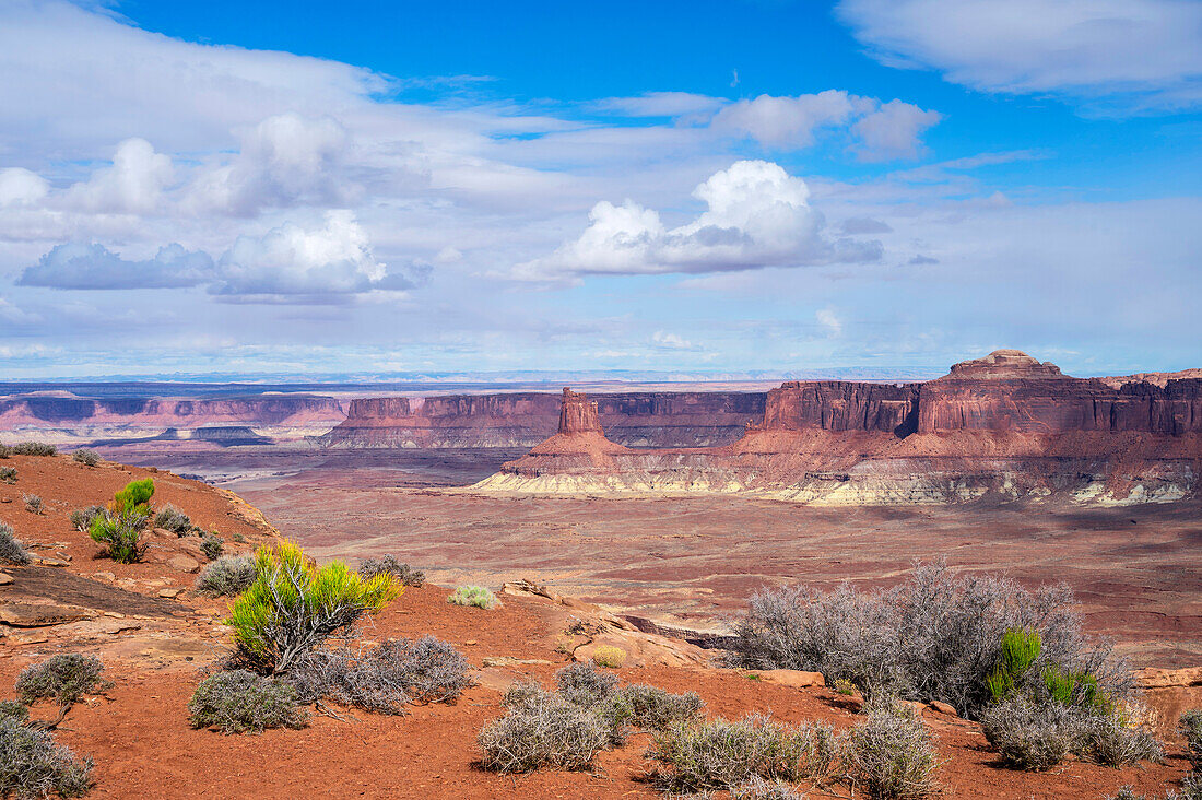  Murphy Point Trail, Canyonlands National Park, Moab, Utah, USA, United States 