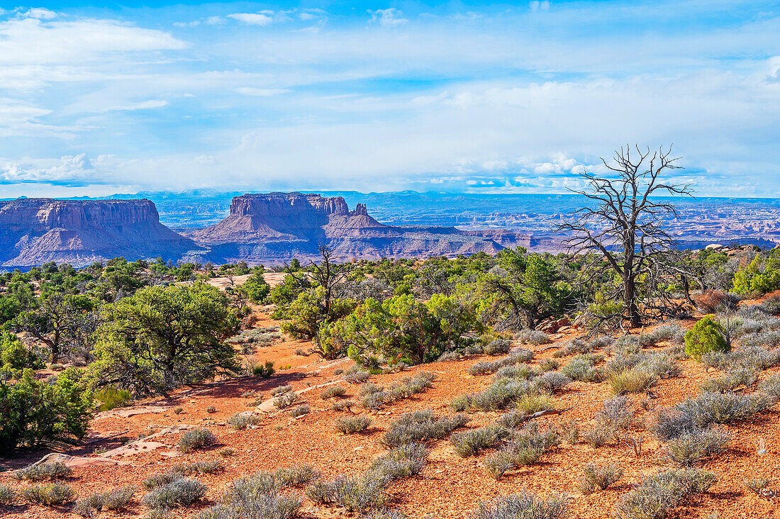  Murphy Point Trail, Canyonlands National Park, Moab, Utah, USA, United States 