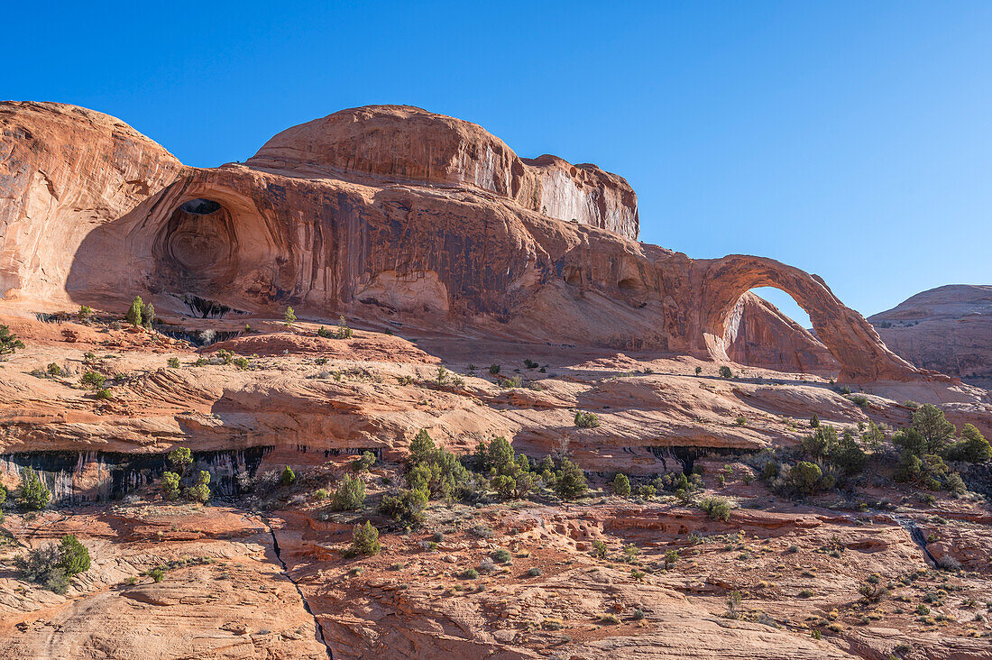 Blick auf die Felsenbogen Corona Arch und Bowtie Arch, Arches National Park, Canyonlands, Moab, Utah, USA, Vereinigte Staaten