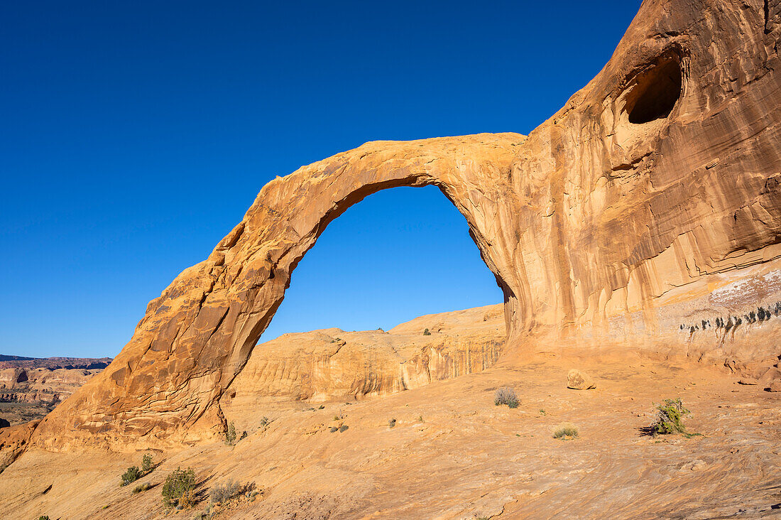  Corona Arch at sunrise, Moab, Utah, USA, United States 