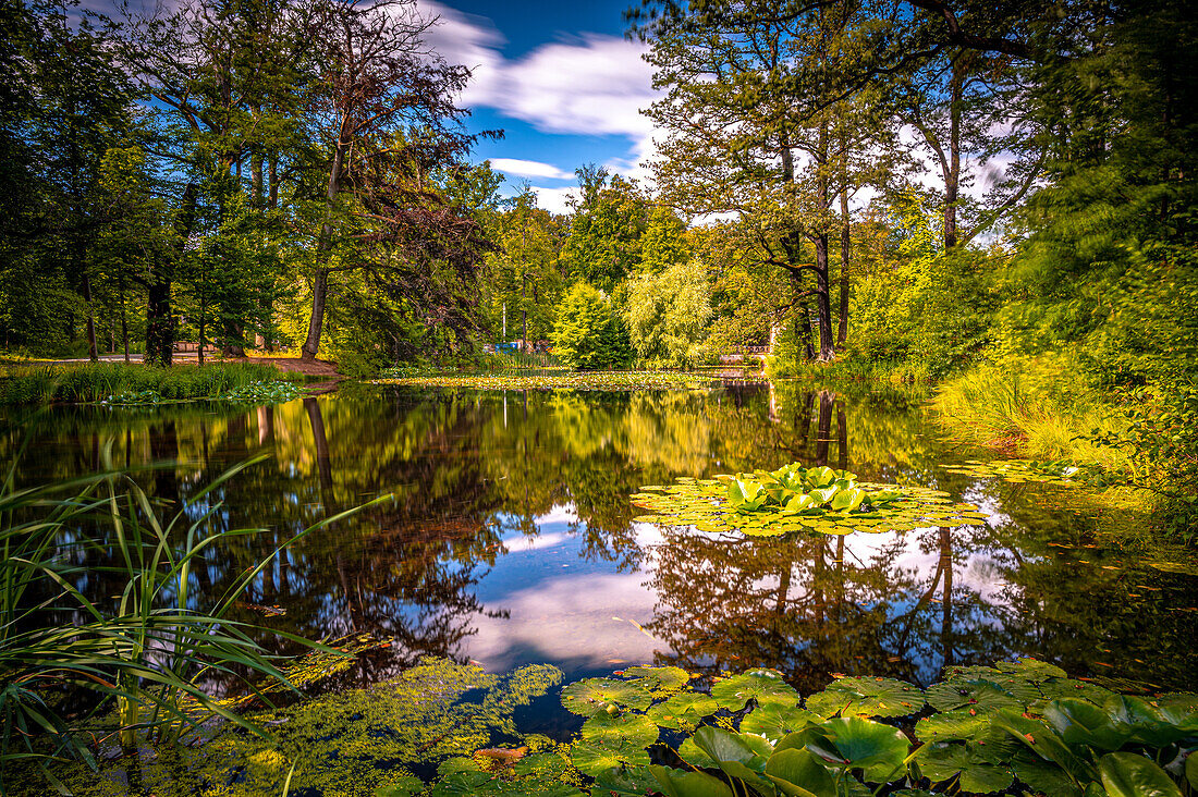  The Albrechtsbergteich in Dresden in summer, Dresden, Saxony, Germany 