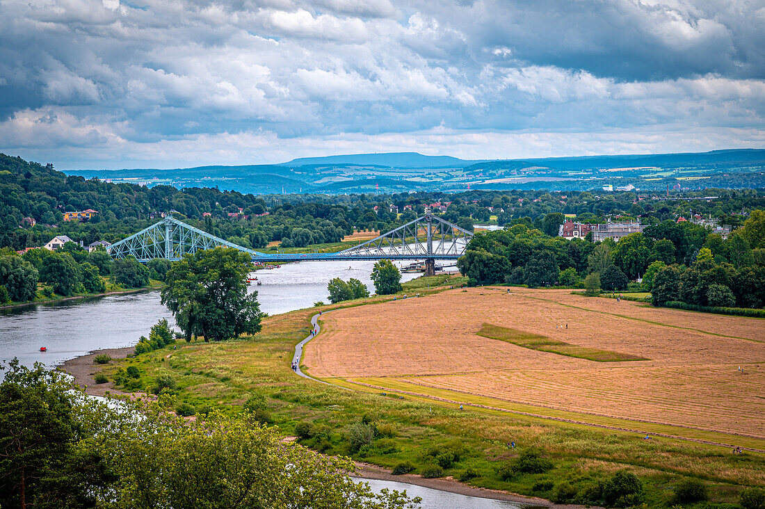  View of the bridge “the blue wonder” in Dresden, Dresden, Saxony, Germany 