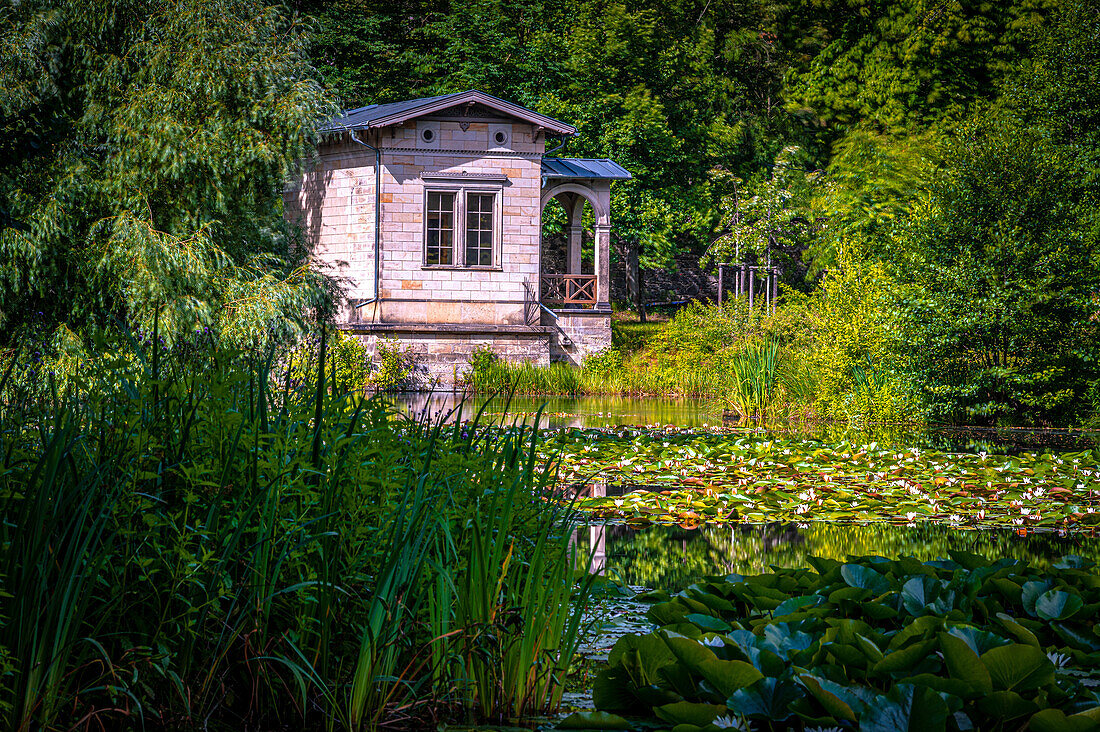  The Albrechtsbergteich in Dresden in summer, Dresden, Saxony, Germany 