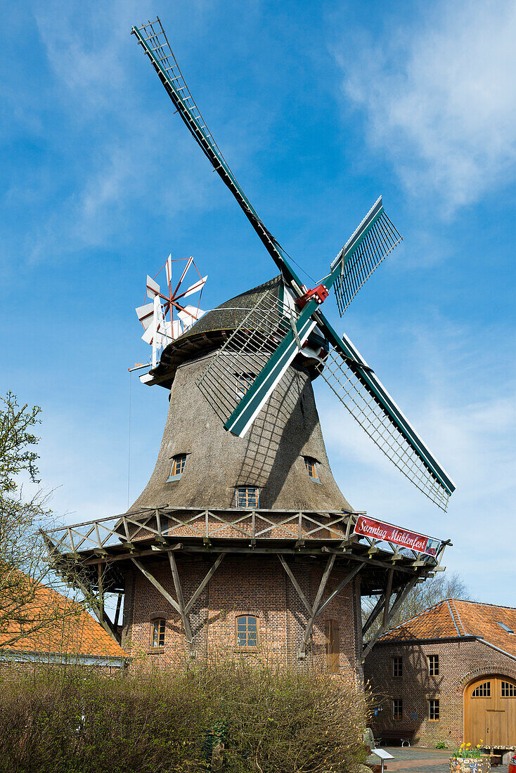 Historische Windmühle, Schlachtmühle, zweistöckiger Galerieholländer mit Windrose, Jever, Ostfriesland, Niedersachsen, Deutschland