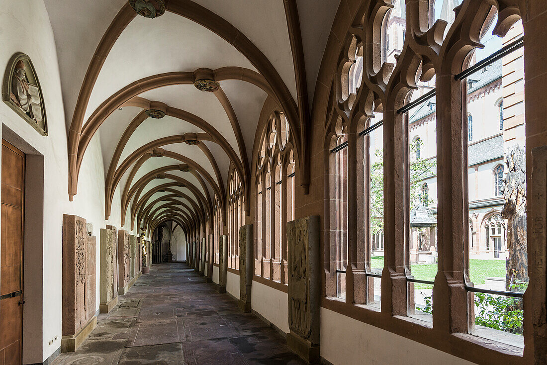  St. Kilian&#39;s Cathedral, Würzburg, Lower Franconia, Franconia, Bavaria, Germany 