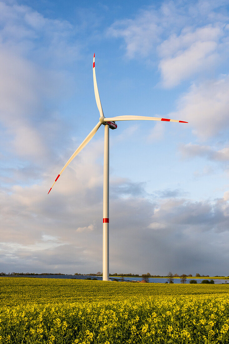  View of a Vestas wind turbine and PV area surrounded by a rapeseed field, Ostholstein, Schleswig-Holstein, Germany 