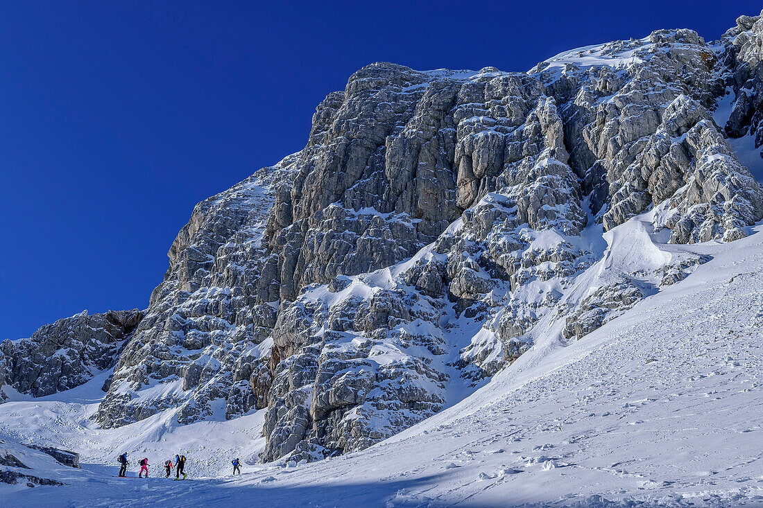  Several people on ski tour climb through the Loigistal to the Pyhrner Kampl, Totes Gebirge, Upper Austria, Austria 