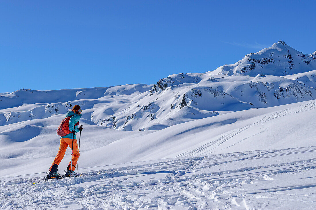  Woman on ski tour ascending to Schwebenkopf, Schwebenkopf, Kelchsau, Kitzbühel Alps, Tyrol, Austria 