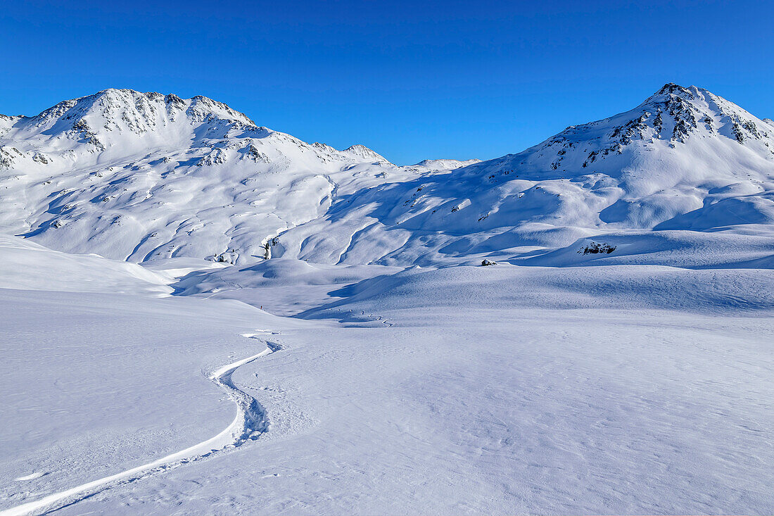  Single downhill track leads to the Kurzer Grund, from the Schwebenkopf, Kelchsau, Kitzbühel Alps, Tyrol, Austria 