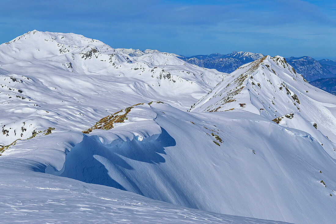 Blick vom Baumgartgeier auf Kitzbüheler Alpen mit Aleitenspitze, Baumgartgeier, Kitzbüheler Alpen, Tirol, Österreich