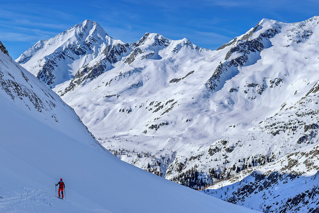  Woman on ski tour skiing down through the Windbachtal, Rauchkofel in the background, Windbachtal, Ahrntal, Rieserferner-Ahrn Nature Park, Zillertal Alps, South Tyrol, Italy 