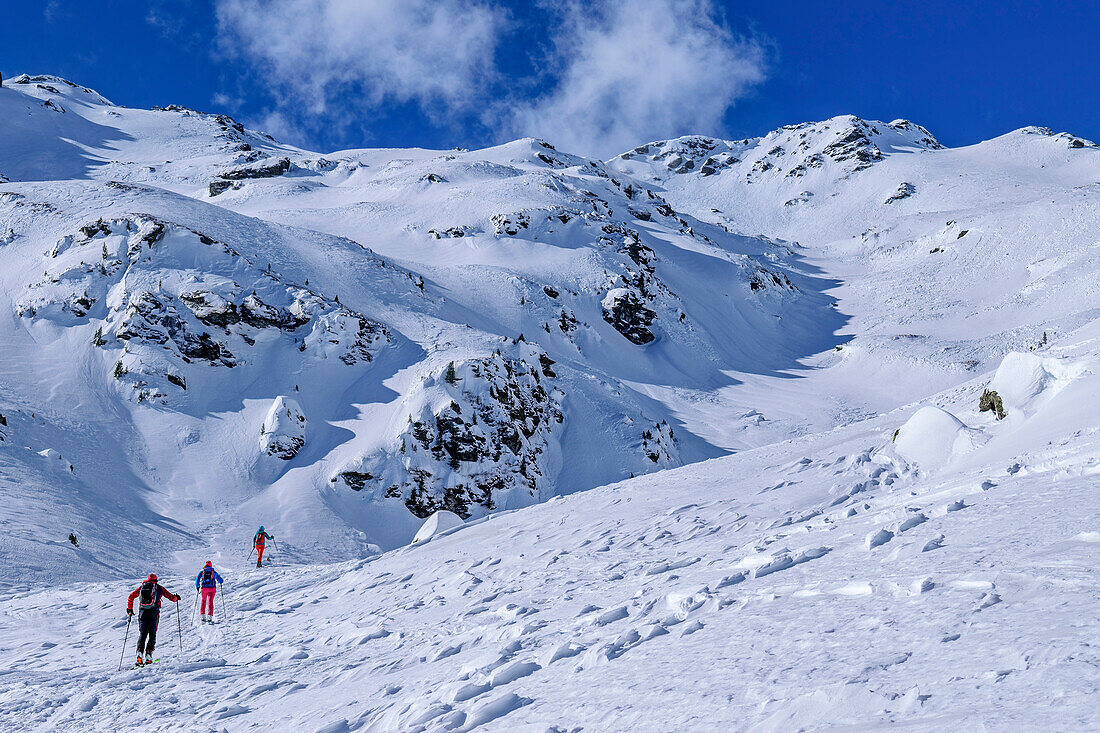  Three people on ski tour ascending to Torhelm, Torhelm, Langer Grund, Kelchsau, Kitzbühel Alps, Tyrol, Austria 