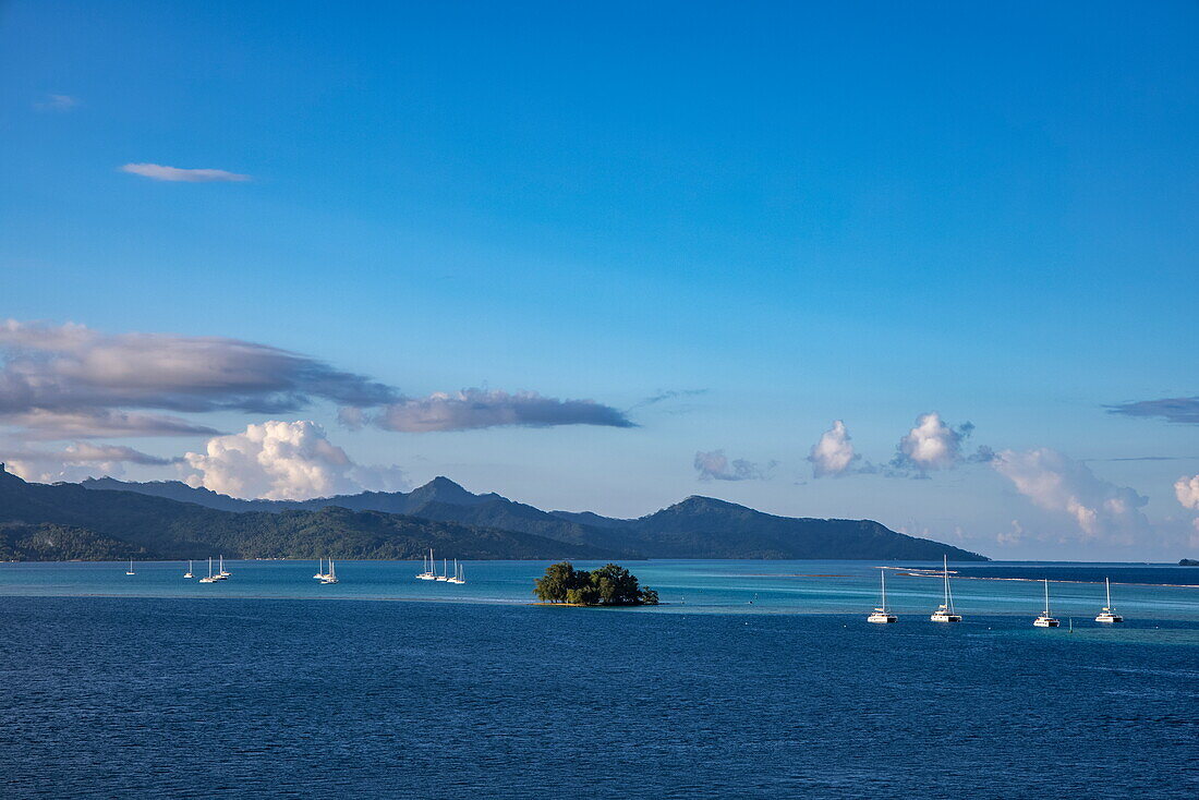 Segelboote in der Lagune, Raiatea, Leeward Islands, Französisch-Polynesien, Südpazifik