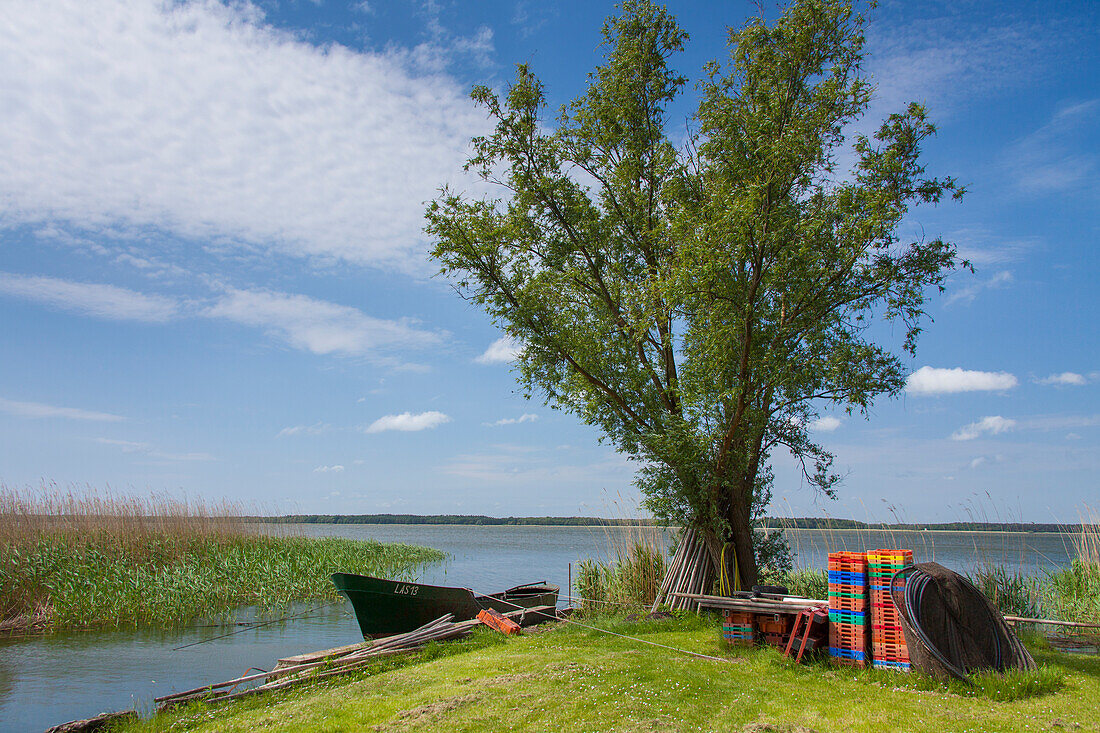  Fishing boat, Rankwitz, Lieper Winkel, Usedom Island, Baltic Sea, Mecklenburg-Western Pomerania, Germany 