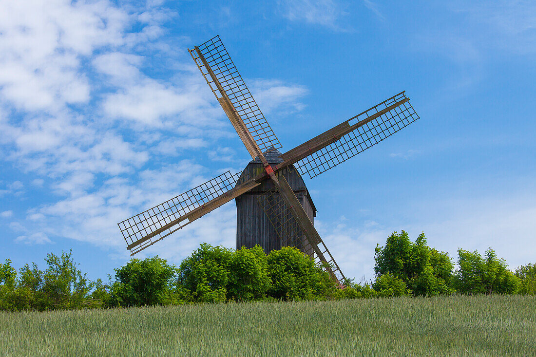  Post mill in Pudagla, Usedom Island, Baltic Sea, Mecklenburg-Western Pomerania, Germany 