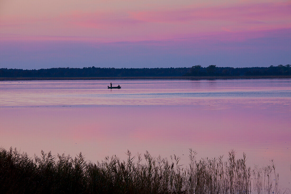 Anglerboot, Abendlicht, Barther Bodden, Nationalpark Vorpommersche Boddenlandschaft, Mecklenburg-Vorpommern, Deutschland