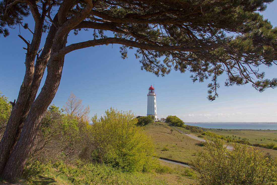 Leuchtturm Dornbusch, Hiddensee, Nationalpark Vorpommersche Boddenlandschaft, Mecklenburg-Vorpommern, Deutschland