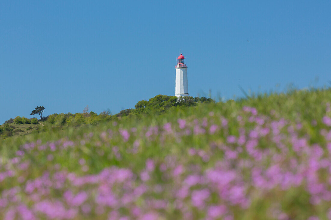 Leuchtturm Dornbusch, Hiddensee, Nationalpark Vorpommersche Boddenlandschaft, Mecklenburg-Vorpommern, Deutschland