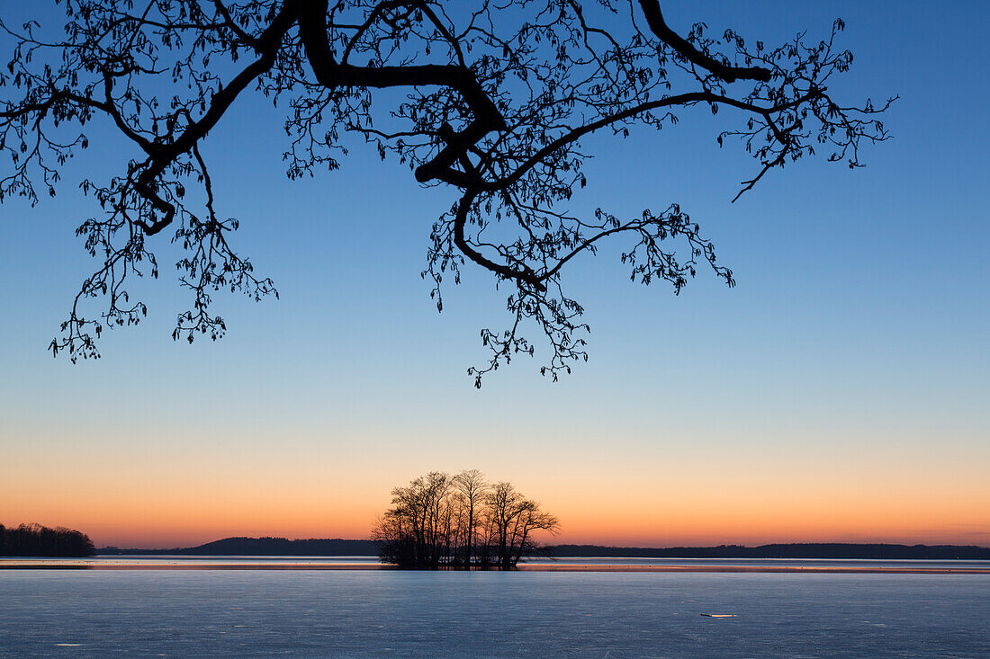  Evening atmosphere at the Grosser Ploener See, Schleswig-Holstein, Germany 