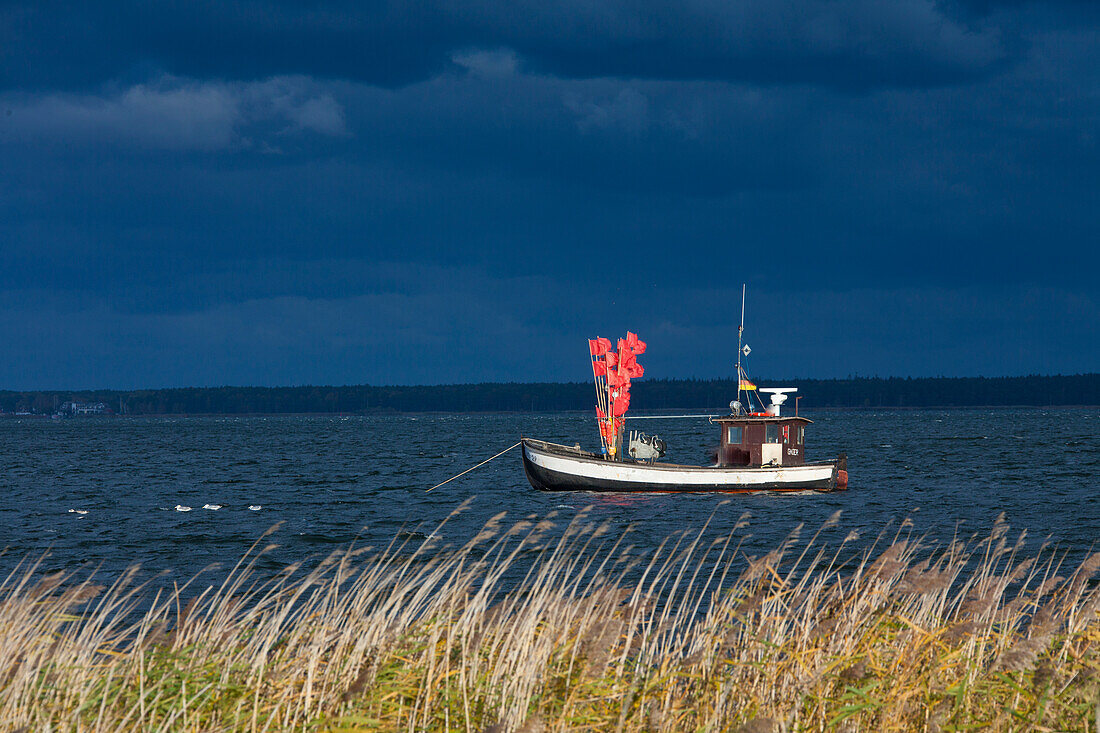  Fishing boat near Neu Reddevitz, Ruegen Island, Mecklenburg-Western Pomerania, Germany 