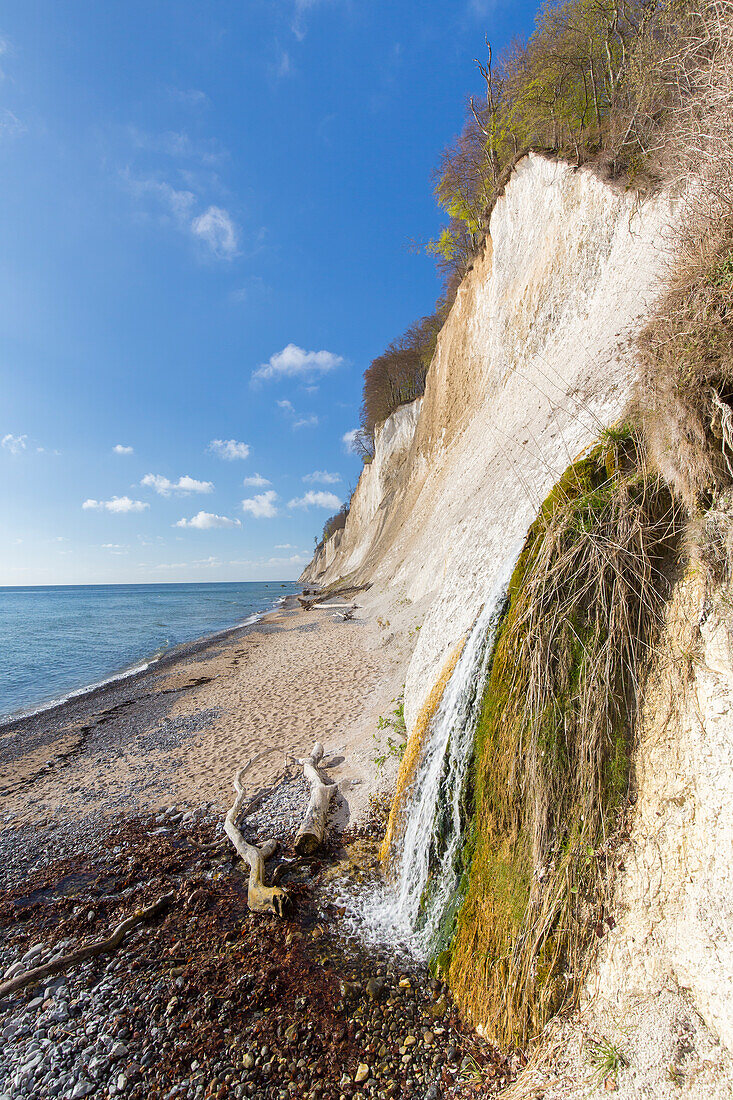 Kieler Bach an der Kreideküste, Nationalpark Jasmund, Insel Rügen, Mecklenburg-Vorpommern, Deutschland