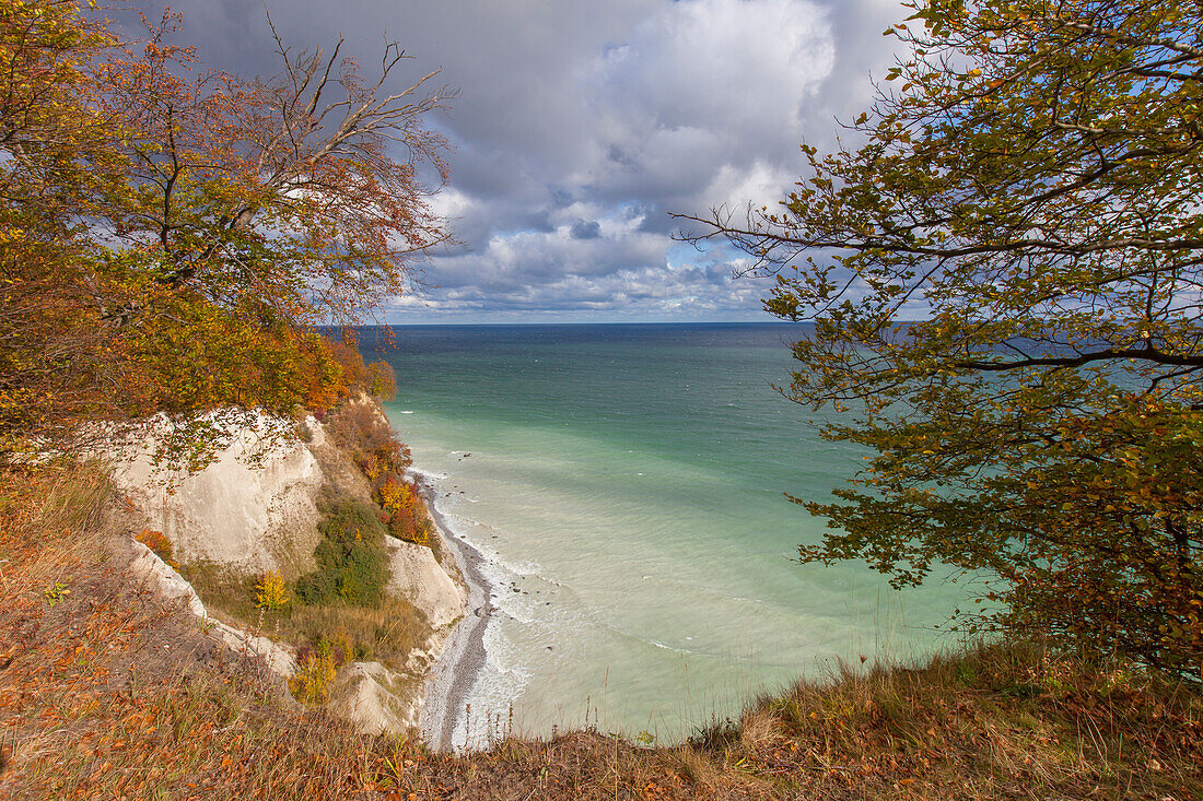  Chalk coast, Jasmund National Park, Rügen Island, Mecklenburg-Western Pomerania, Germany 