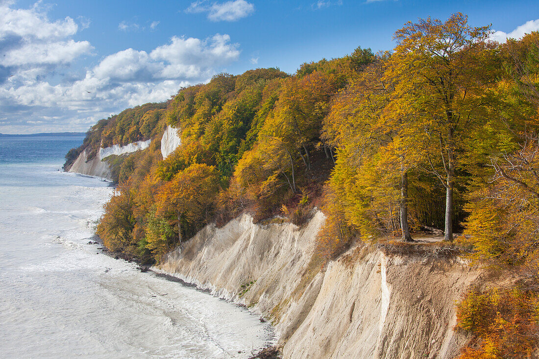 Kreideküste, Nationalpark Jasmund, Insel Rügen, Mecklenburg-Vorpommern, Deutschland