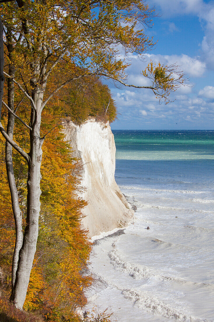 Kreideküste, Nationalpark Jasmund, Insel Rügen, Mecklenburg-Vorpommern, Deutschland