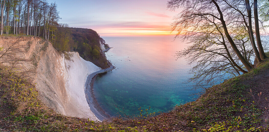 Morgenstimmung an den Kreidefelsen, Nationalpark Jasmund, Insel Rügen, Mecklenburg-Vorpommern, Deutschland