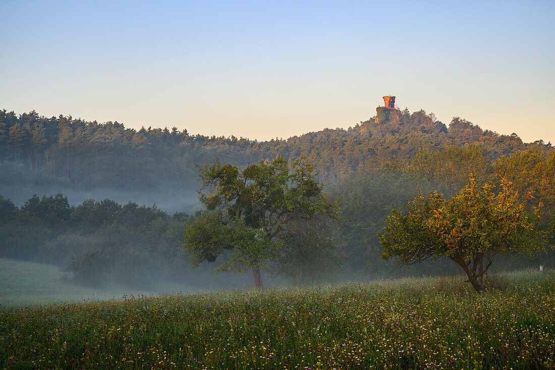 Nebel bei Burg Drachenfels, Pfälzerwald, Rheinland-Pfalz, Detuschland