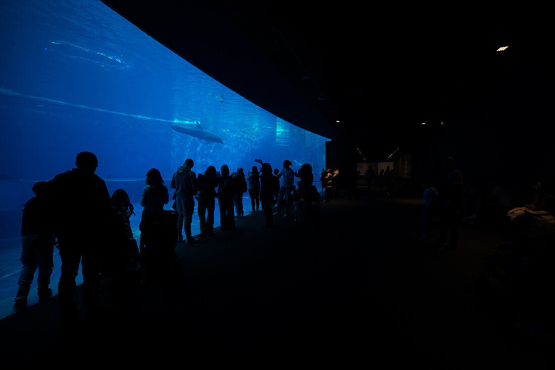 Menschen besuchen das Aquarium von Genua, Acquario di Genova, Ligurien, Italien