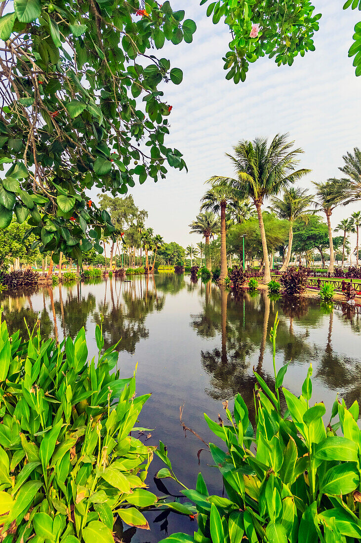  Lake near Yanbuʿ al-Bahr, also known as Yanbu, Yambo, or Yenbo is a major port on the Red Sea, with historic old town, Saudi Arabia 