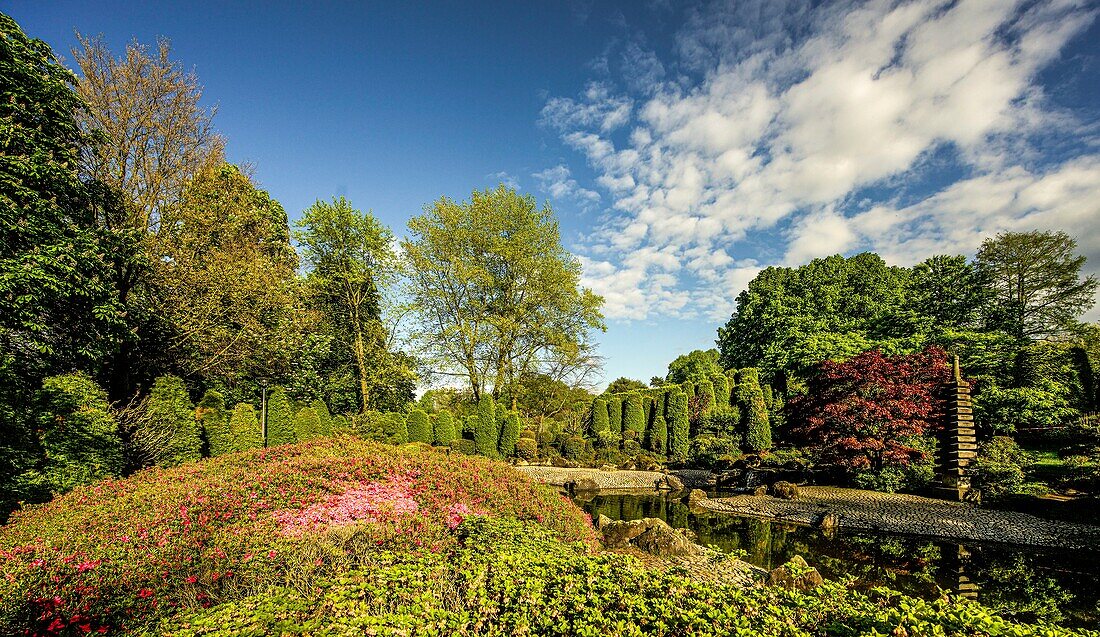  Japanese garden in the Rheinauenpark, view of the lake and the pagoda, Bonn, NRW, Germany 