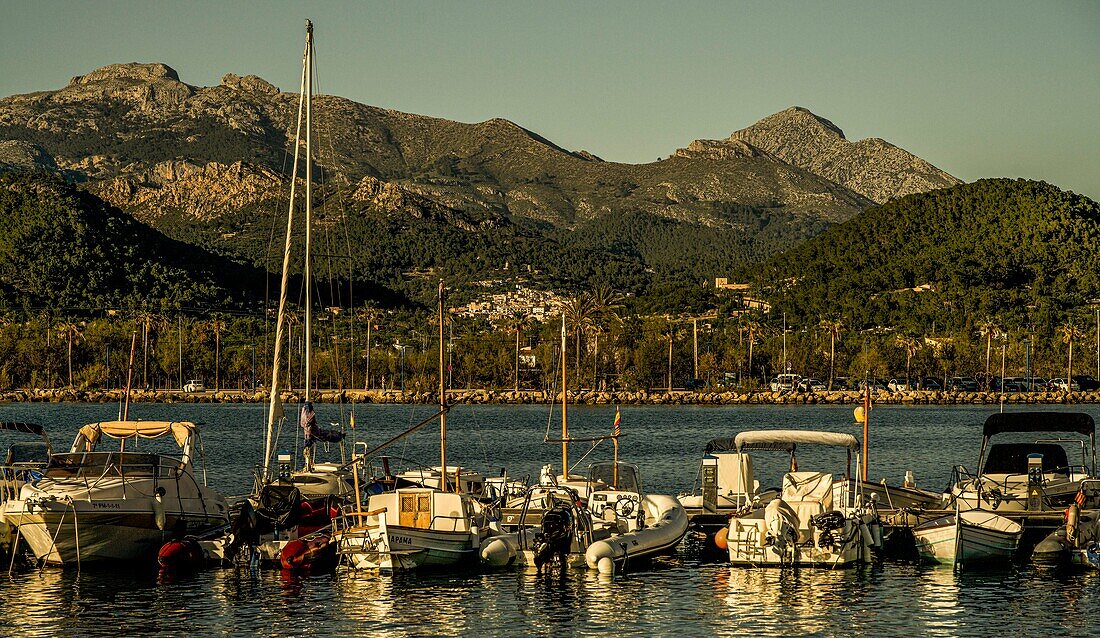 Yachten im Hafen von Port d´Andratx im Abendlicht, im Hintergrund das Tramuntana-Gebirge, Mallorca, Spanien