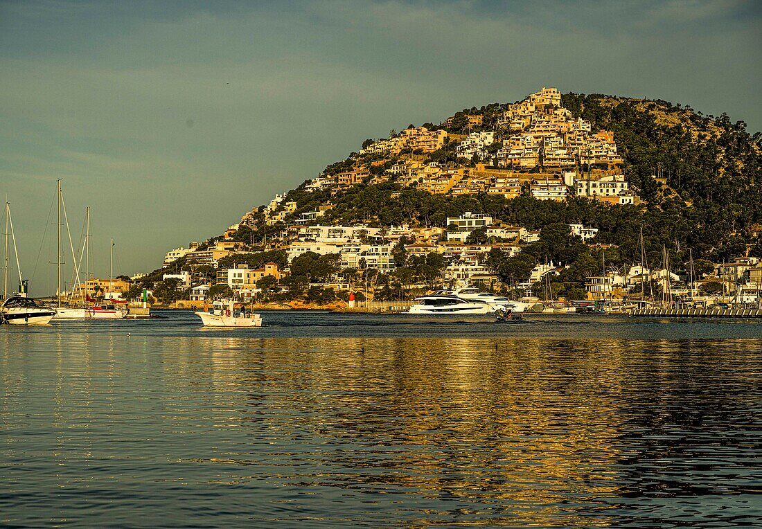 Port d´Andratx im Morgenlicht, Mallorca, Spanien