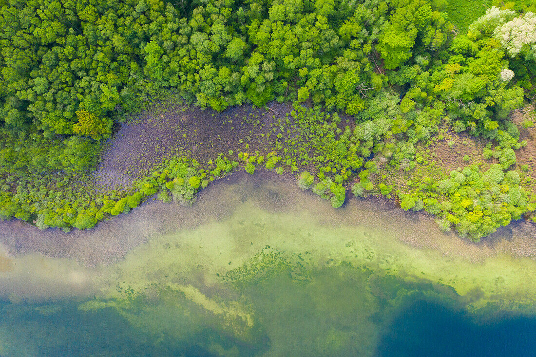 Blick auf den Schaalsee, Schleswig-Holstein, Deutschland