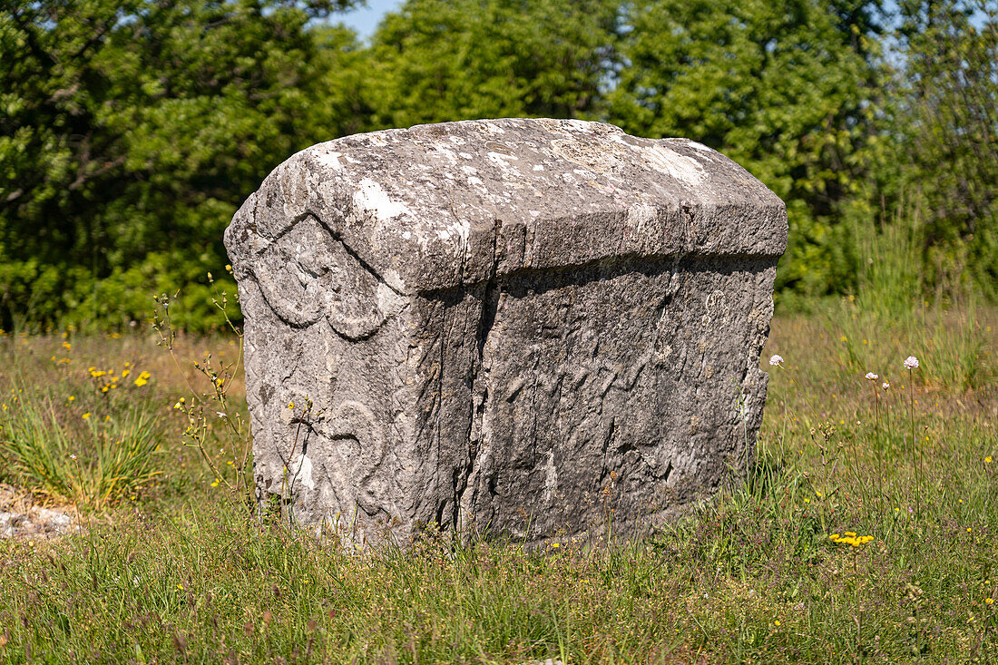  Stecci, medieval gravestones in a necropolis near Cista Velika, Croatia, Europe  