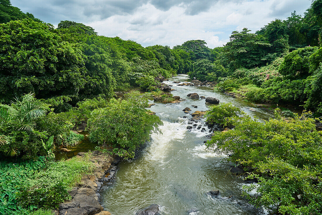  Africa, Mauritius Island, Indian Ocean, River 