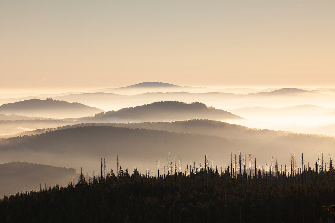  View from Lusen over the Bavarian Forest at sunrise, Bavarian Forest National Park, Bavaria, Germany 