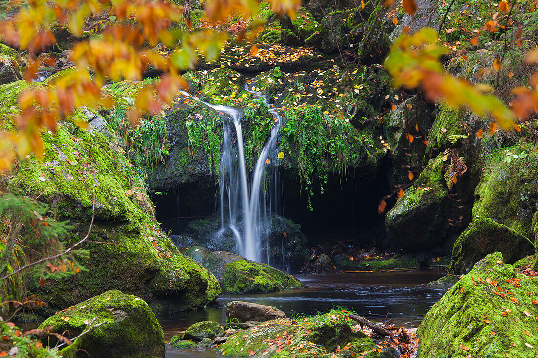 Grosse Ohe fliesst durch das Tal der Steinklamm, Bayrischer Wald, Bayern, Deutschland