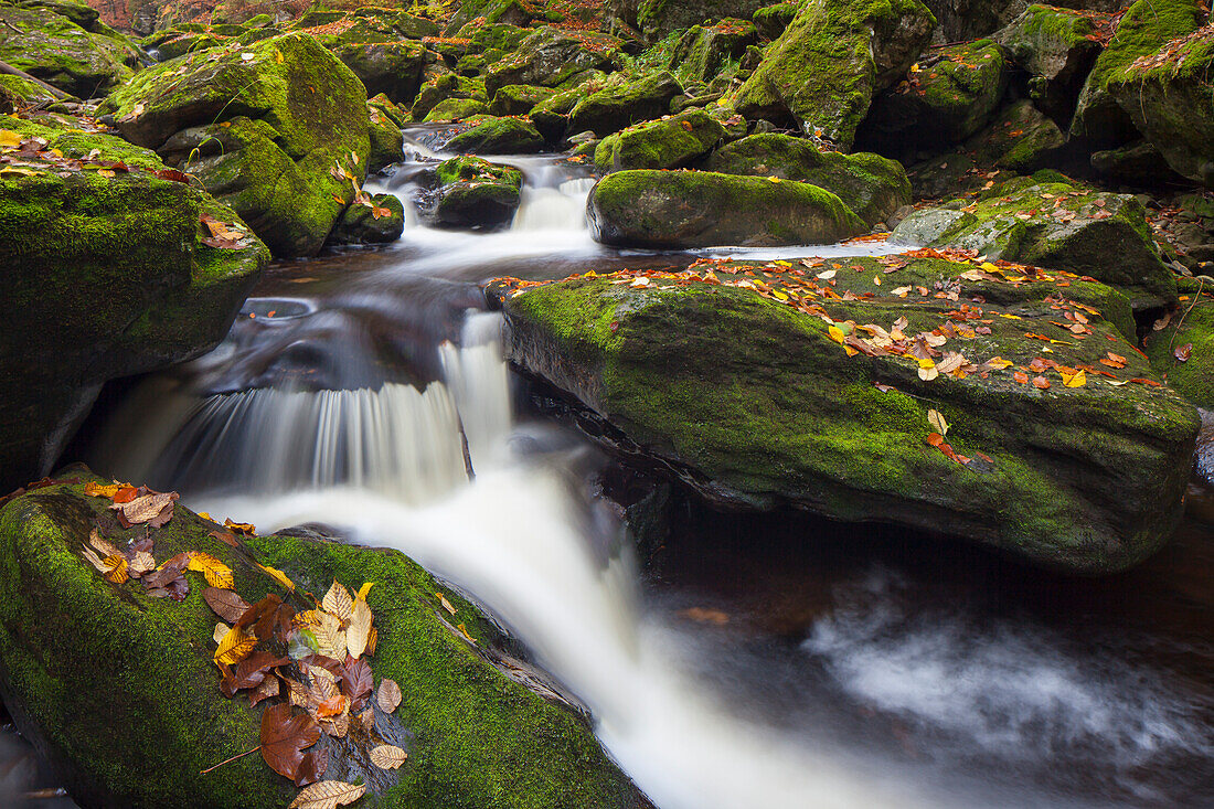 Grosse Ohe fliesst durch das Tal der Steinklamm, Bayrischer Wald, Bayern, Deutschland