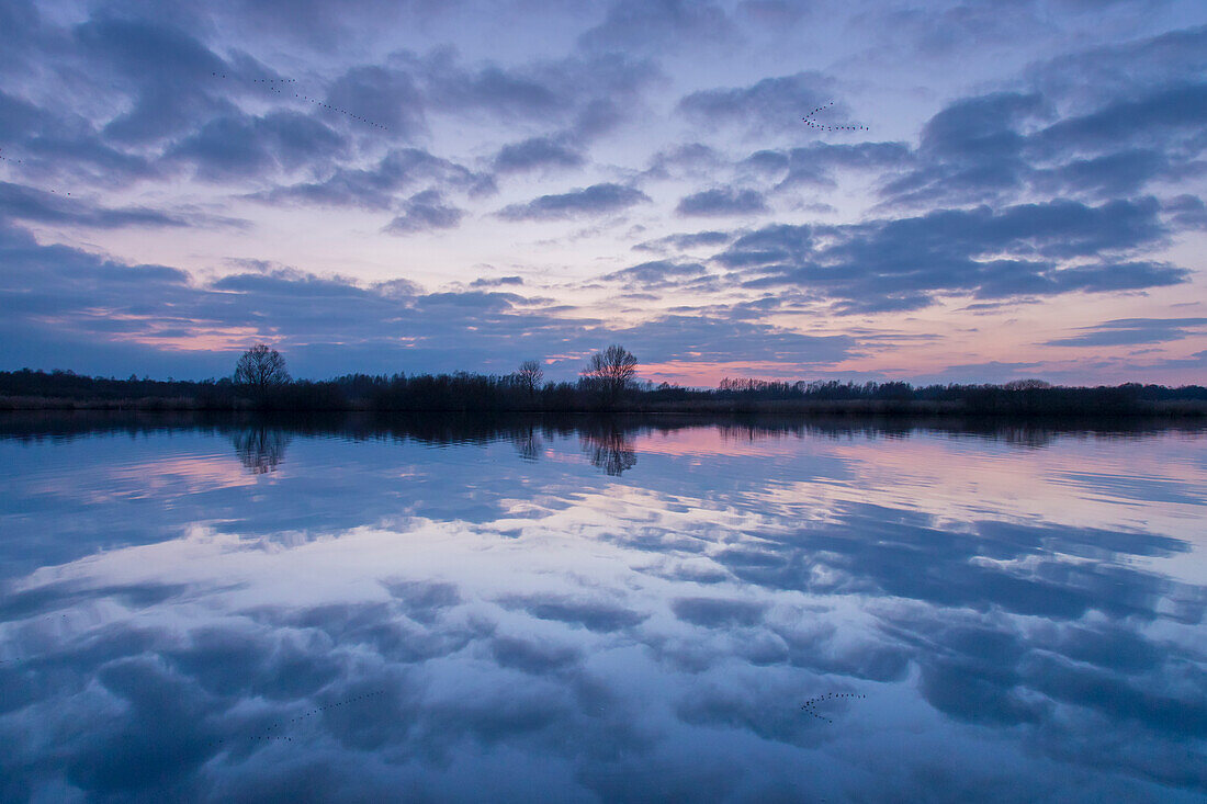  Evening mood at the Haaler Au, Schleswig-Holstein, Germany 