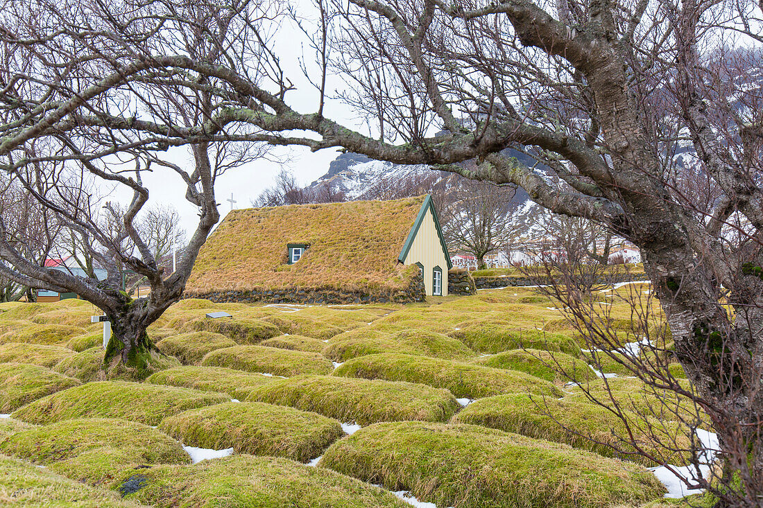  Hofskirkja, turf-covered church, farm in Oeraefi, Sudurland, Iceland 