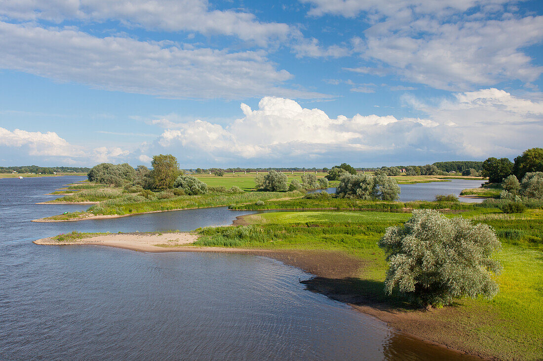 Blick auf die Elbe, Biosphärenreservat Flusslandschaft Elbe, Niedersachsen, Deutschland