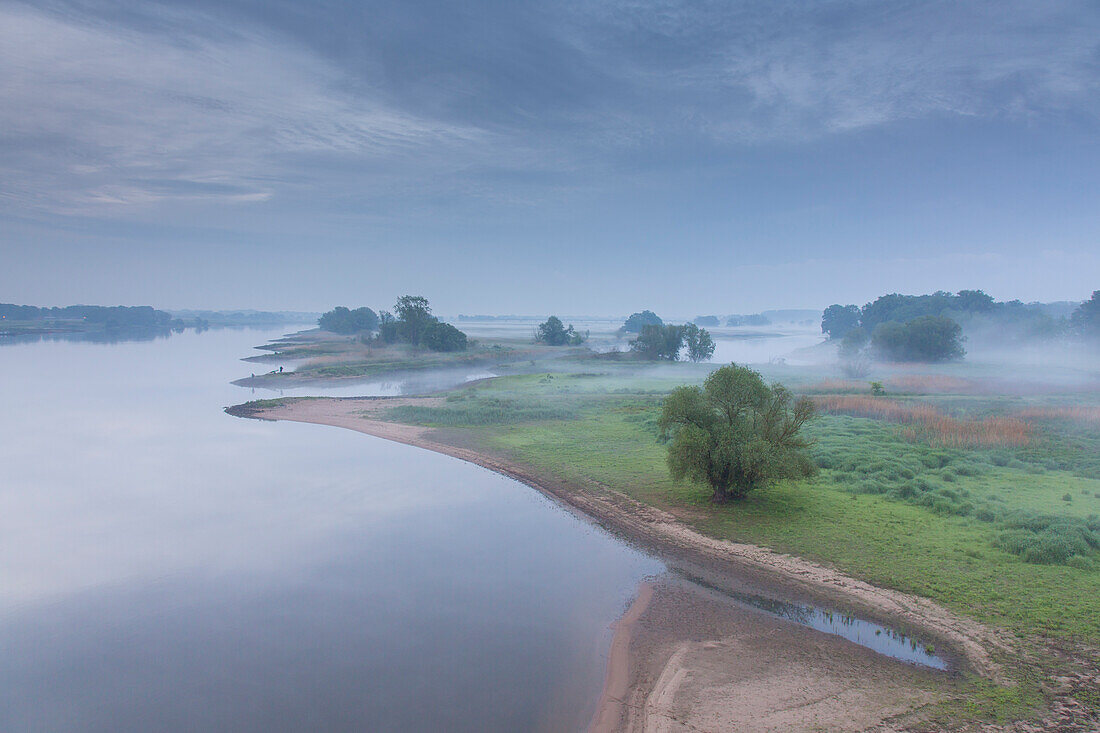 Morgensnebel ueber der Elbe, Biosphärenreservat Flusslandschaft Elbe, Niedersachsen, Deutschland