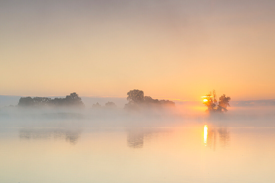  Morning mood on the Elbe, Elbe River Landscape Biosphere Reserve, Lower Saxony, Germany 